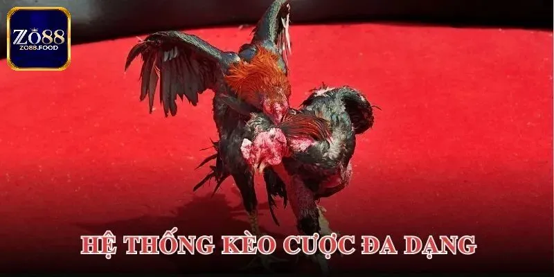 Có nhiều các hình thức cá cược để người chơi lựa chọn