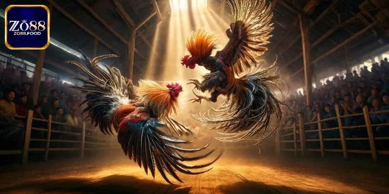 ICF Sports Zo88 - Sảnh Đá Gà Sôi Động Và Kịch Tính Nhất 2025