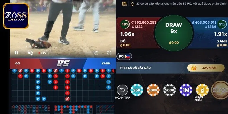 Sơ lược chuyên mục đá gà Zo88