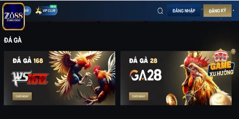 Tỷ lệ cược cạnh tranh nên thu hút đông đảo người chơi 