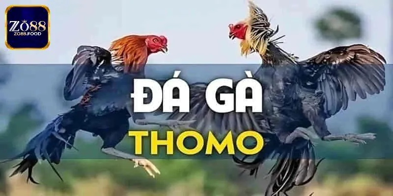 Xác định thắng bại trong thi đấu